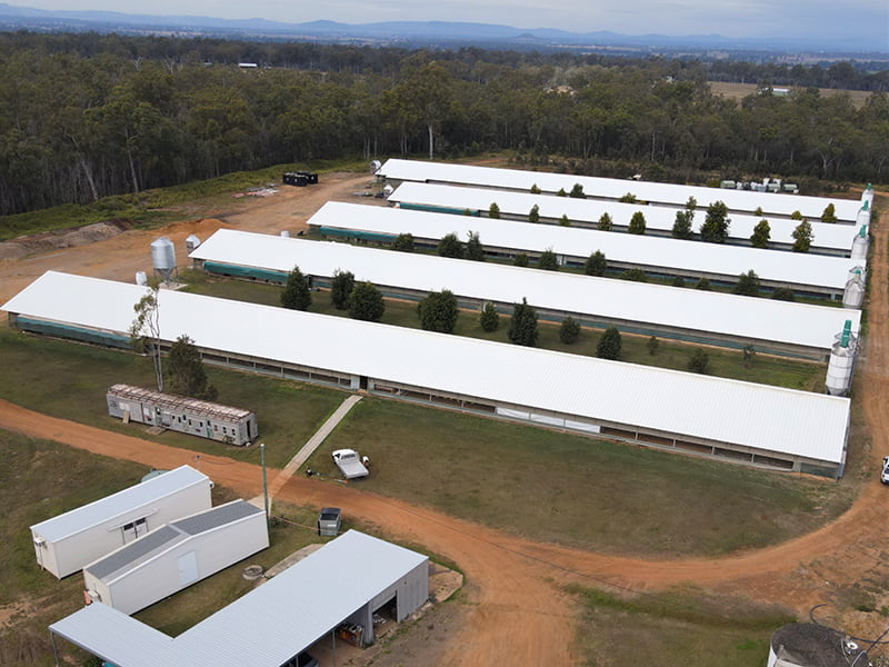 EconoClad PIR Roofing in North QLD